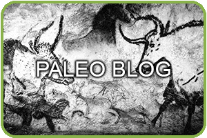 Paleo Diet leads to the optimal health and wellness