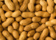 Top ten reasons to steer clear of peanuts. Sapiens Paleo Kitchen Blog