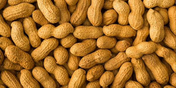 Top ten reasons to steer clear of peanuts. Sapiens Paleo Kitchen Blog