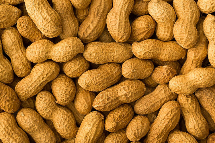 Top ten reasons to steer clear of peanuts. Sapiens Paleo Kitchen Blog