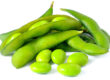 Top ten reasons to stop eating soy and soy products. Sapiens Paleo Kitchen Blog