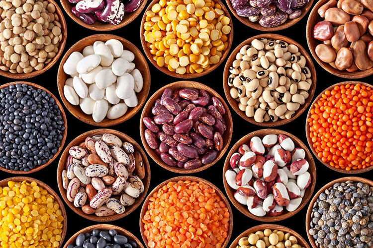 Top five reasons why beans and lentils are not good for consumption. Sapiens Kitchen Blog