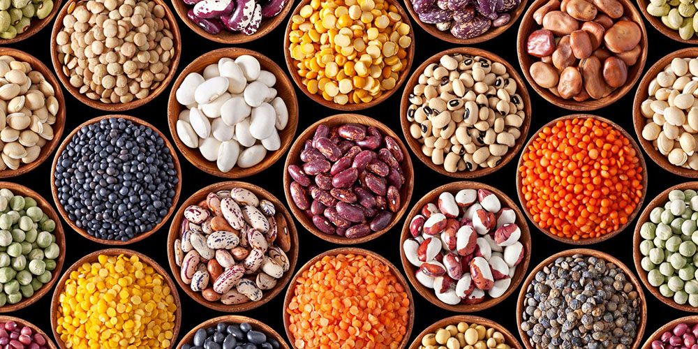 Top five reasons why beans and lentils are not good for consumption. Sapiens Kitchen Blog