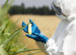 Top ten reasons to avoid gmo foods. Sapiens Kitchen Blog