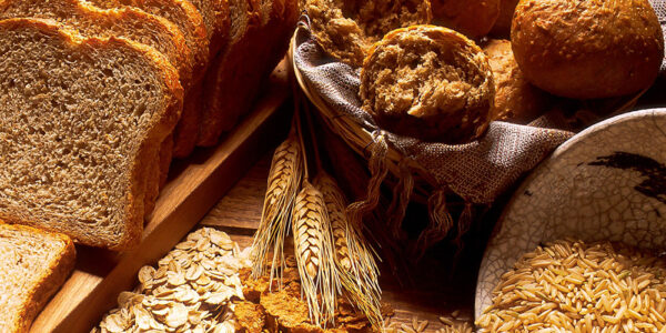 Top ten reasons to avoid grains. Sapiens Paleo Kitchen Blog