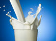 Top Ten Reasons To Give Up Milk and Dairy Products.