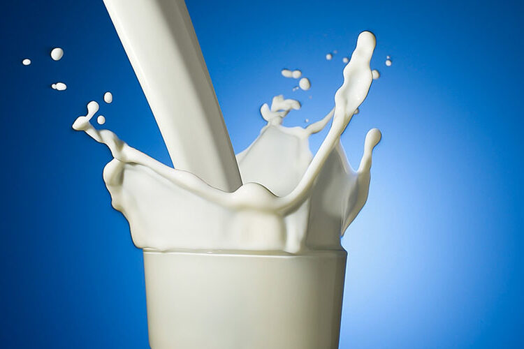 Top Ten Reasons To Give Up Milk and Dairy Products.