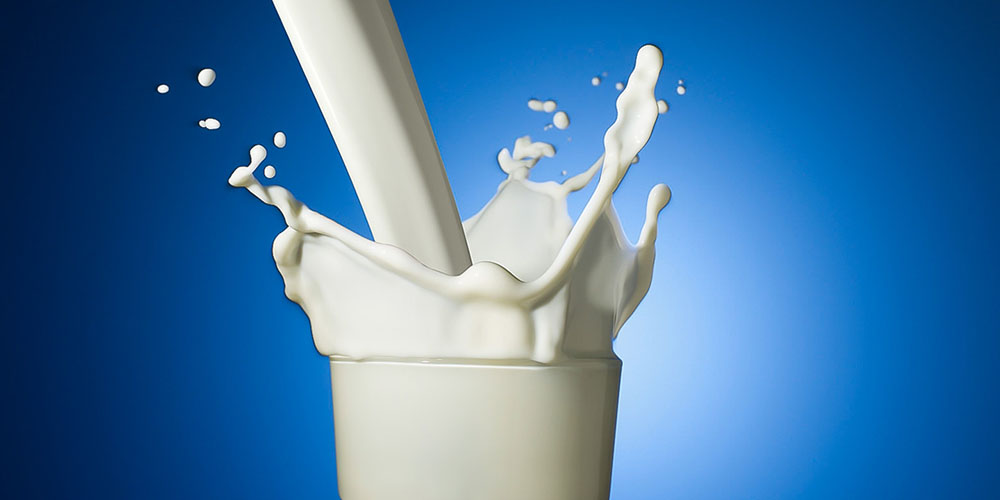 Top Ten Reasons To Give Up Milk and Dairy Products.